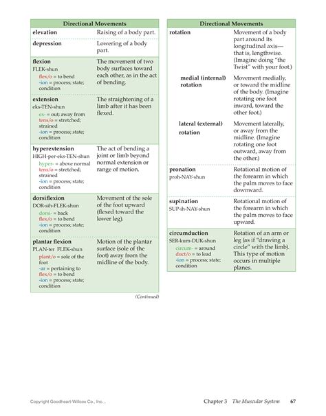 Rbt Terms And Definitions Printable